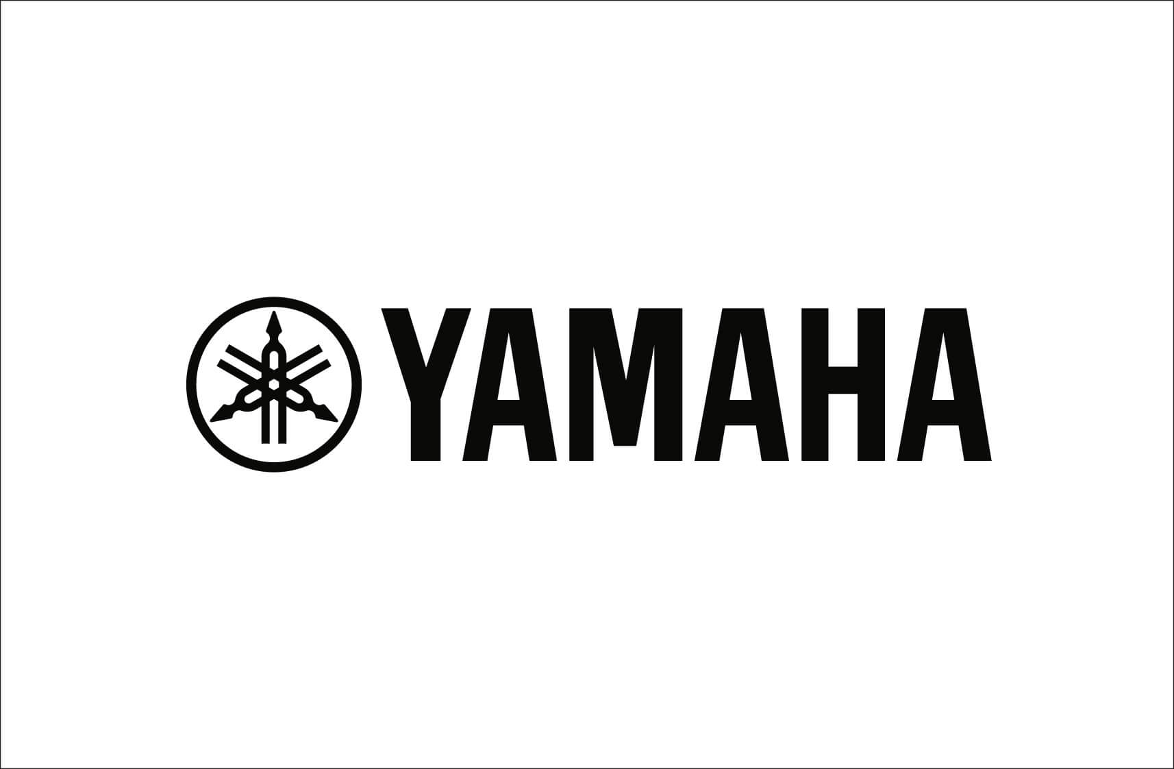 ylm_st_black_print (1)